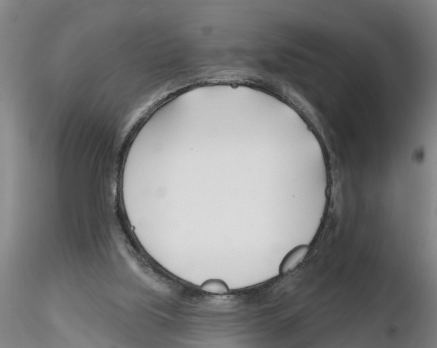 X0000116160059201001041123