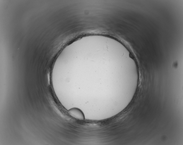 X0000116160061201001041123