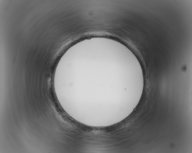 X0000116160063201001041123