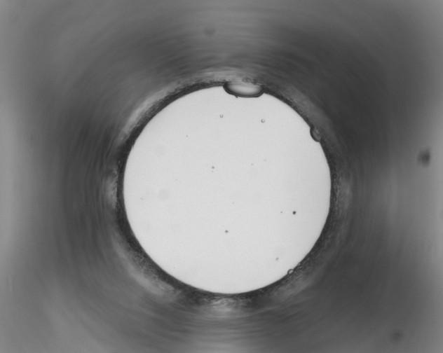 X0000116160064201001041123