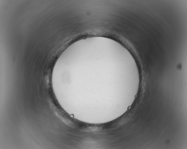 X0000116160065201001041123