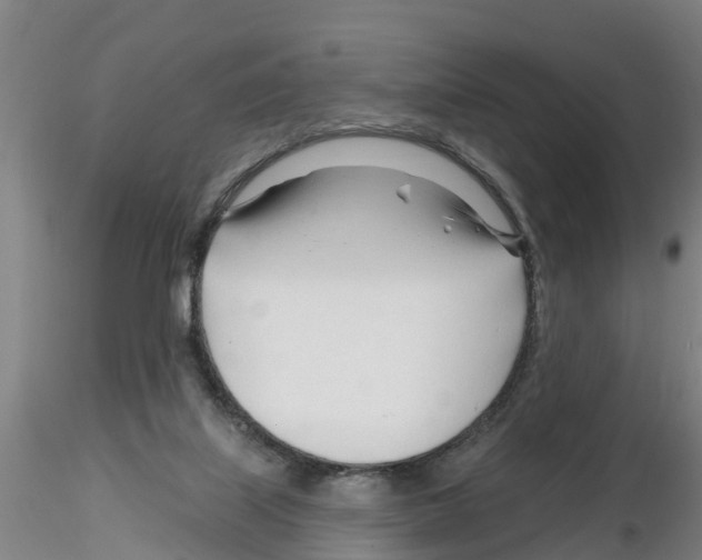 X0000116160067201001041123