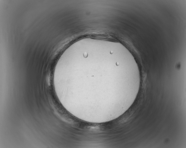X0000116160068201001041123