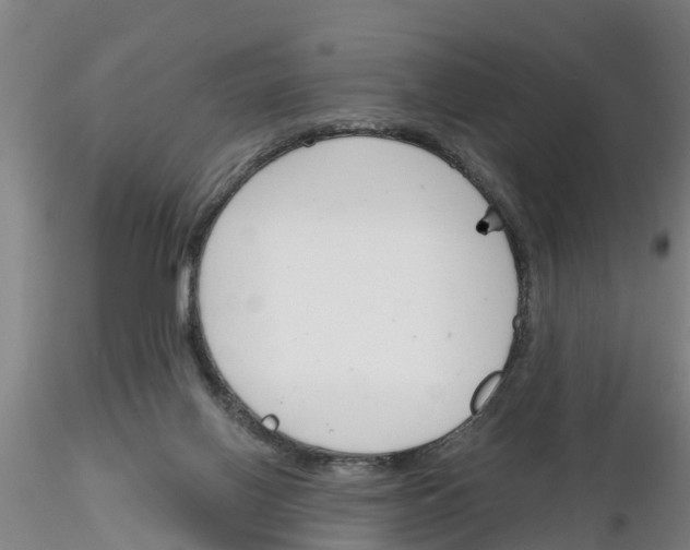 X0000116160070201001041123
