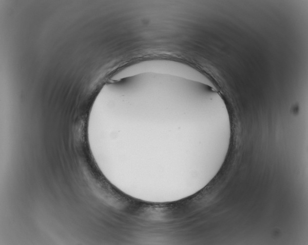 X0000116160071201001041123