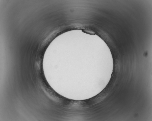 X0000116160072201001041123