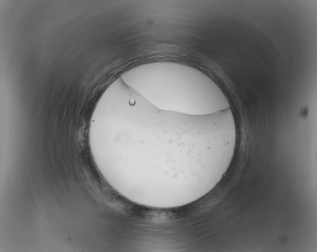 X0000116160073201001041123