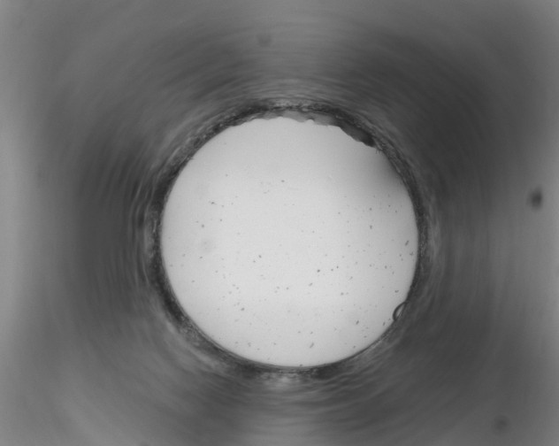 X0000116160074201001041123