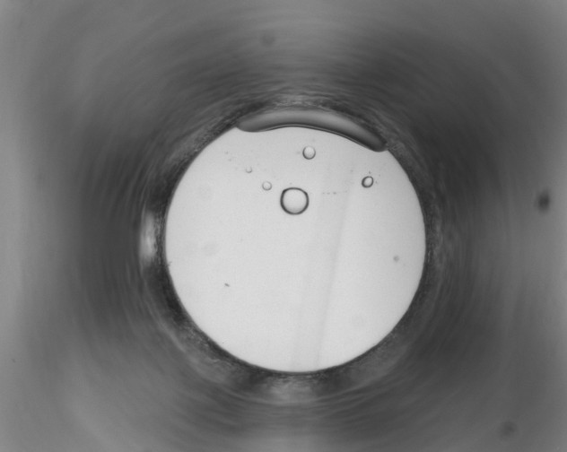 X0000116160075201001041123