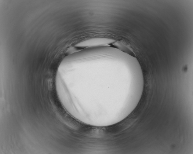 X0000116160080201001041123