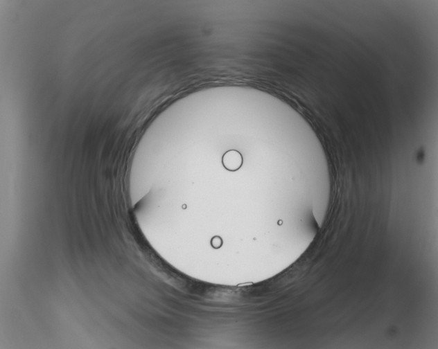 X0000116160084201001041123