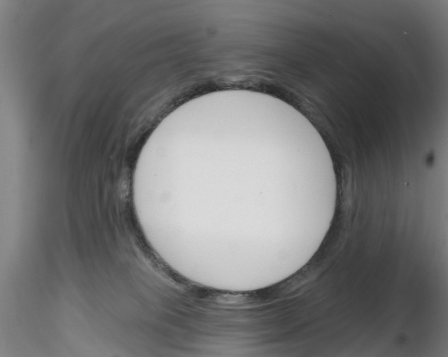 X0000116160085201001041123