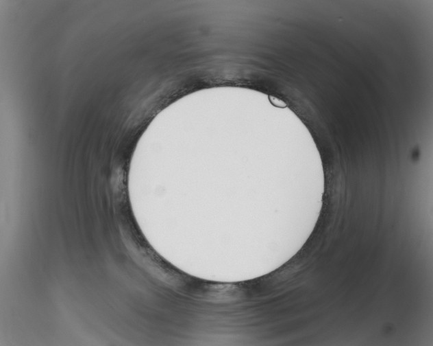 X0000116160087201001041123