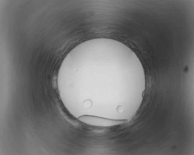 X0000116160090201001041123