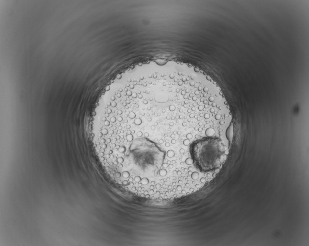 X0000116160093201001041123