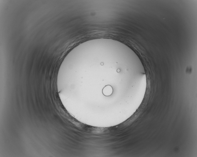 X0000116160096201001041123
