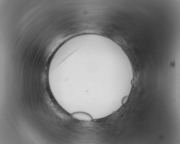 X0000116160098201001041122