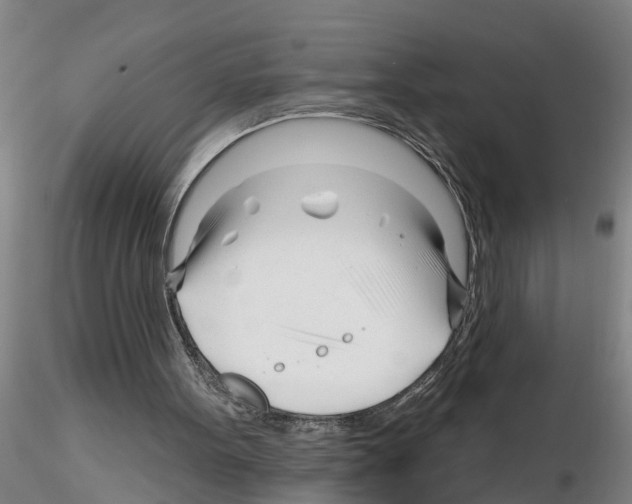X0000116160099201001041122