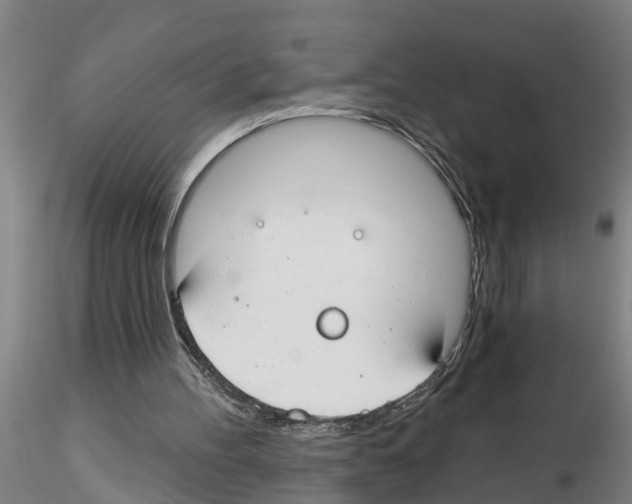 X0000116160100201001041122