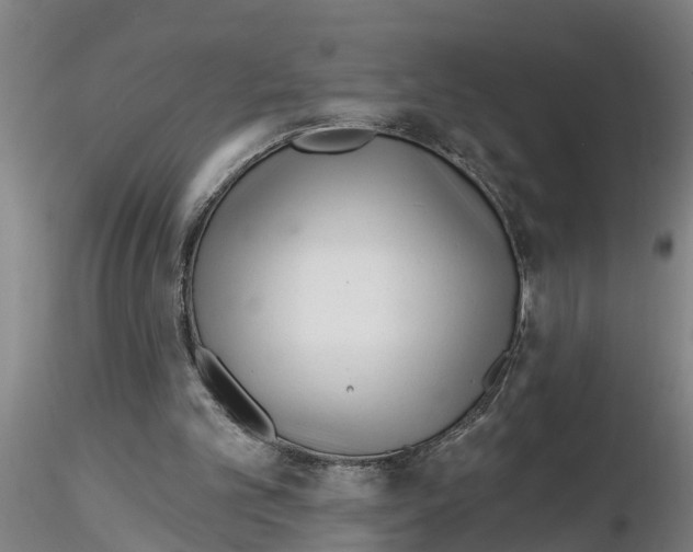 X0000116160101201001041122