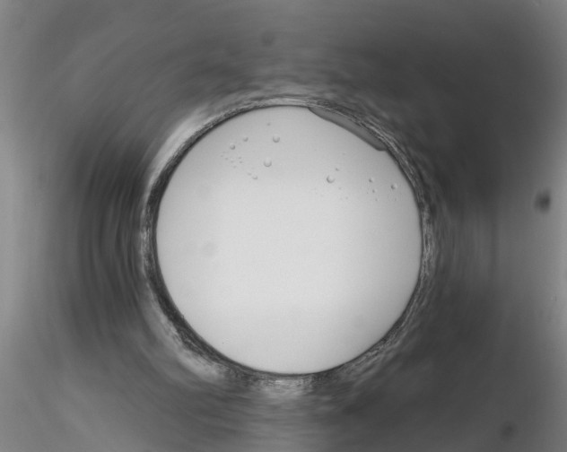X0000116160102201001041122
