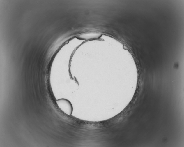 X0000116160103201001041122