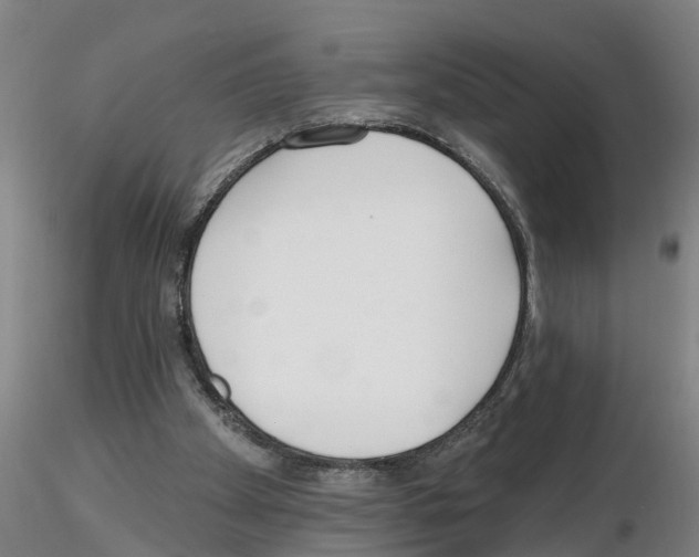 X0000116160105201001041122