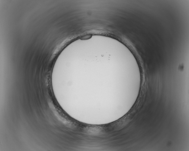 X0000116160106201001041122