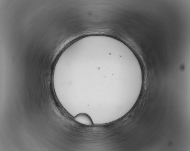 X0000116160107201001041122