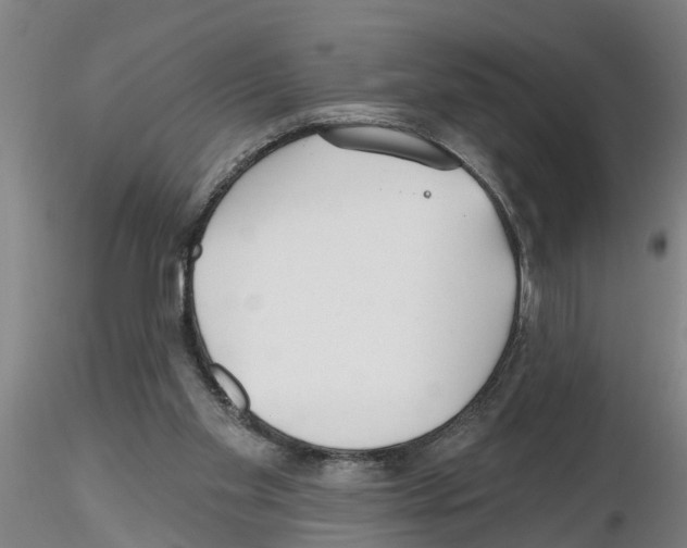 X0000116160109201001041122