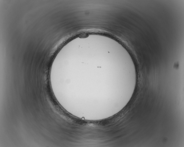 X0000116160111201001041122