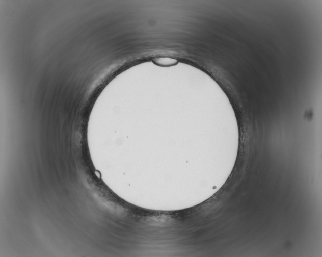 X0000116160112201001041122