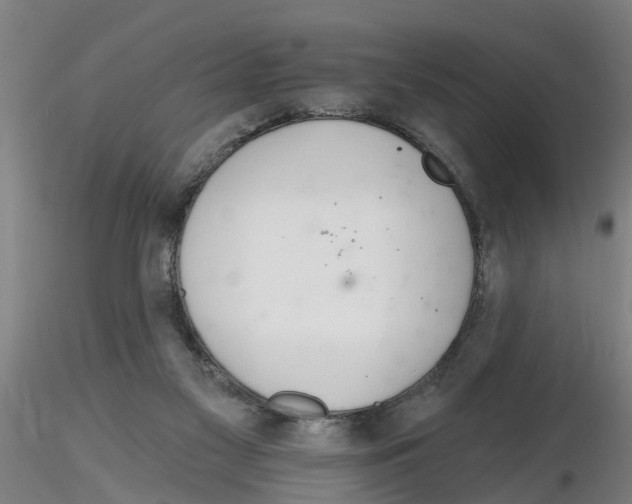 X0000116160117201001041122