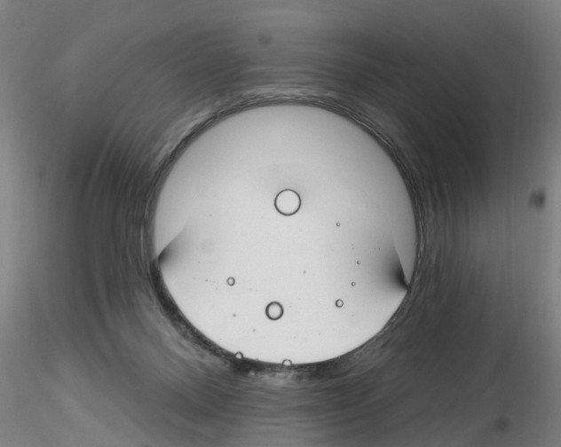 X0000116160120201001041122
