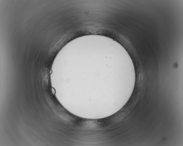 X0000116160121201001041122