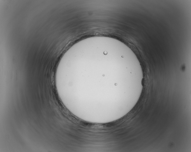 X0000116160123201001041122