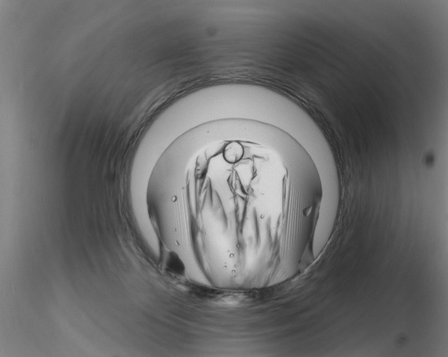 X0000116160124201001041122
