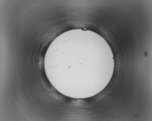 X0000116160125201001041122