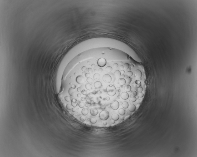 X0000116160127201001041122