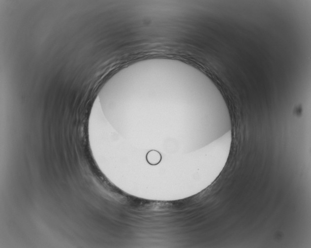 X0000116160128201001041122