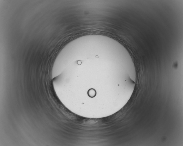 X0000116160129201001041122