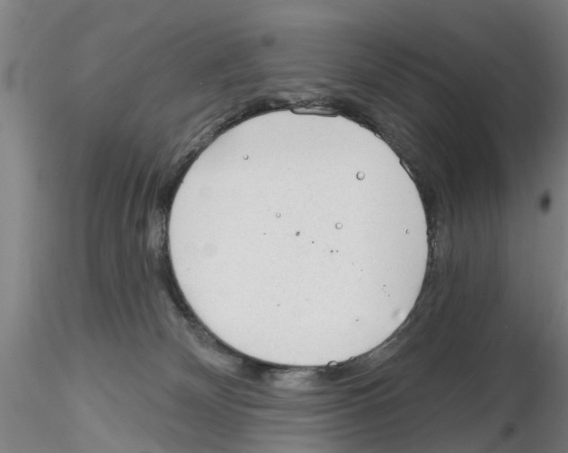 X0000116160132201001041122