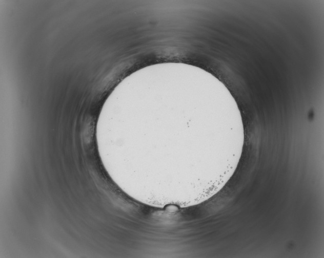 X0000116160133201001041122