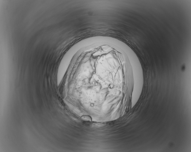 X0000116160139201001041122