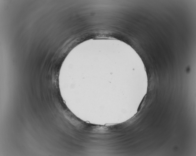 X0000116160140201001041122