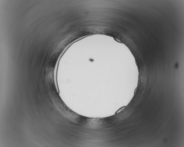 X0000116160141201001041122