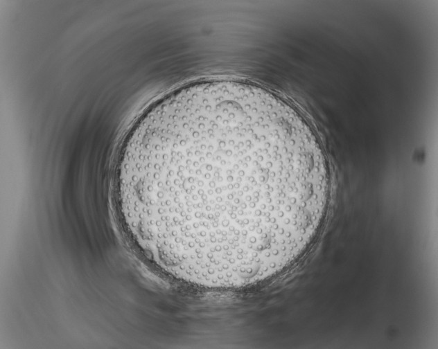 X0000116160145201001041121
