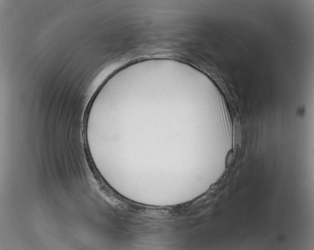 X0000116160147201001041121