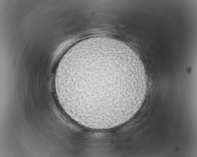 X0000116160149201001041121