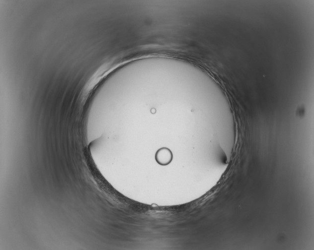 X0000116160150201001041121